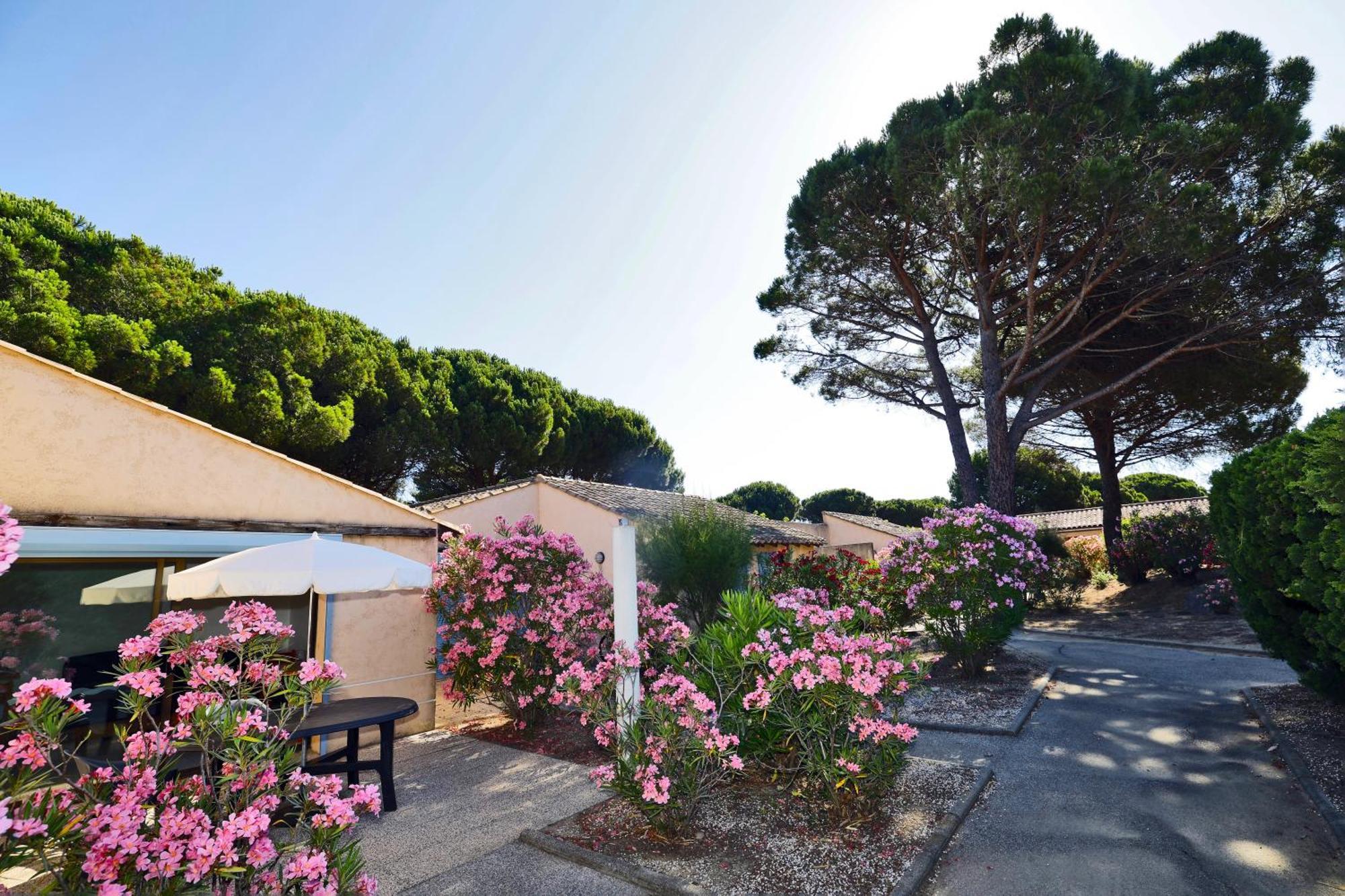 Village Vacances De Ramatuelle - Le Sentier Des Pins エクステリア 写真
