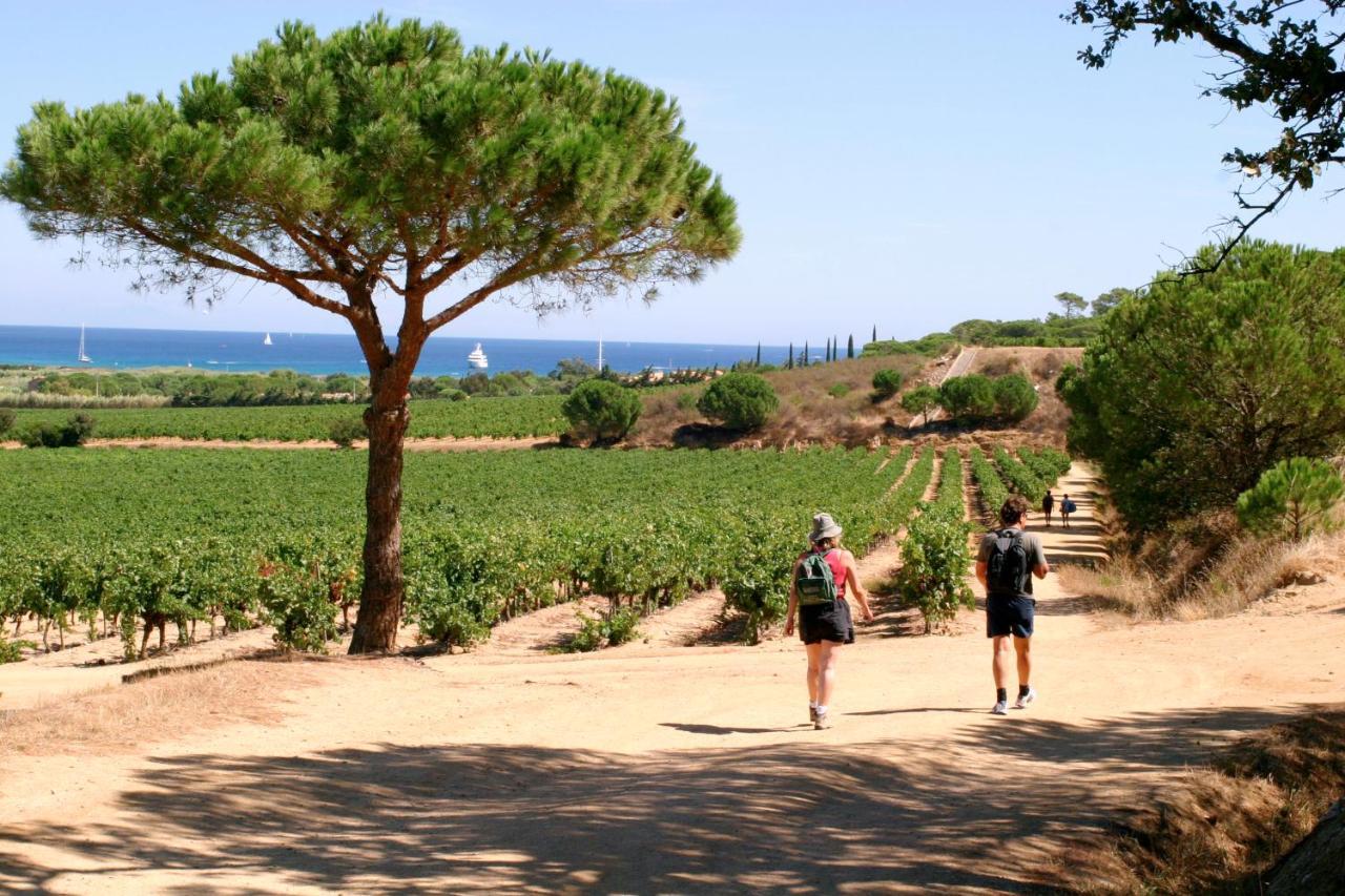 Village Vacances De Ramatuelle - Le Sentier Des Pins エクステリア 写真