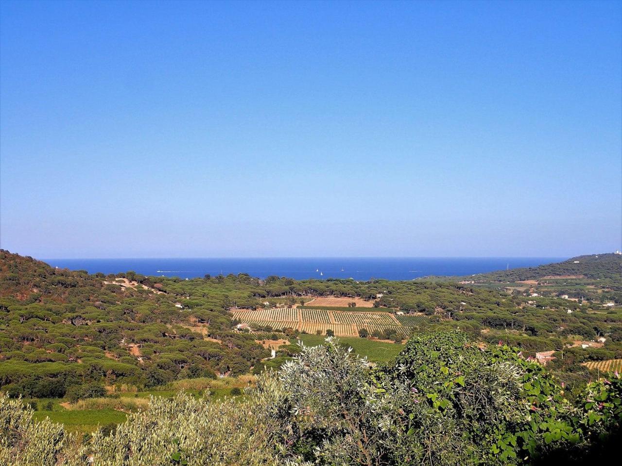 Village Vacances De Ramatuelle - Le Sentier Des Pins エクステリア 写真